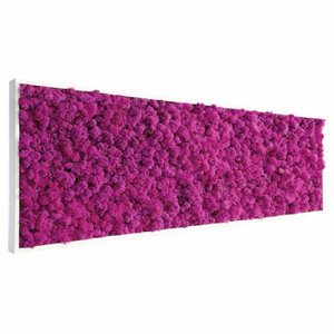 Tableau végétal stabilisé Lichen rose 112 x 60 cm