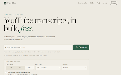 ScriptHaul — YouTube Transcripts screenshot 2