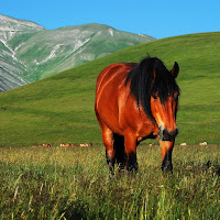 La quiete in montagna di 