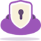 Item logo image for PrivateVPN