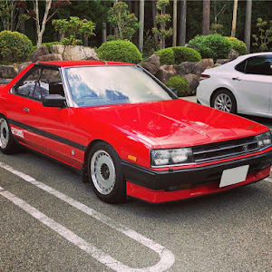 スカイライン