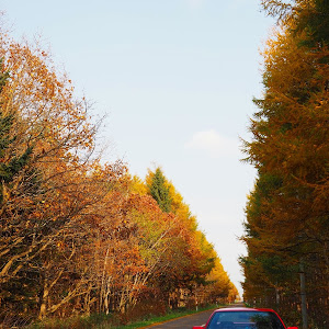 スプリンタートレノ AE86