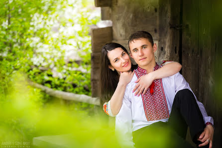 Fotografo di matrimoni Andrey Sinenkiy (sinenkiy). Foto del 20 febbraio 2016