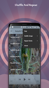 Katydid Sounds(圖2)-速報App