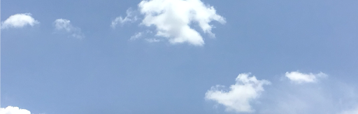 ごま猫♧(・ω・｀)