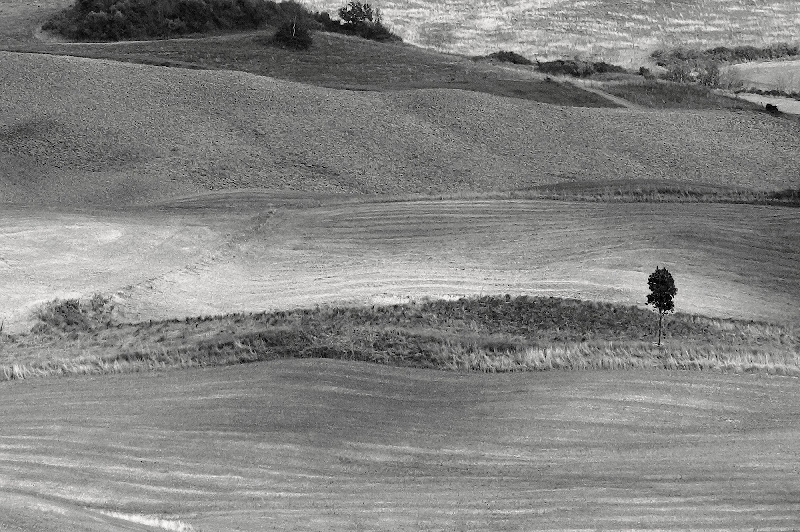 campi da arare di ruggeri alessandro