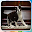 Funny Cats Download on Windows