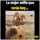 Download Memes para whatsapp For PC Windows and Mac 1.0