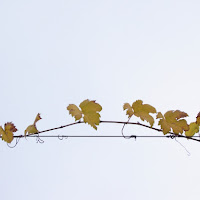 Minimalismo d'autunno di 