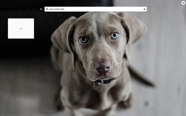 Speed Dial Dogs chrome extension