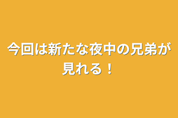 今回は新たな夜中の兄弟が見れる！