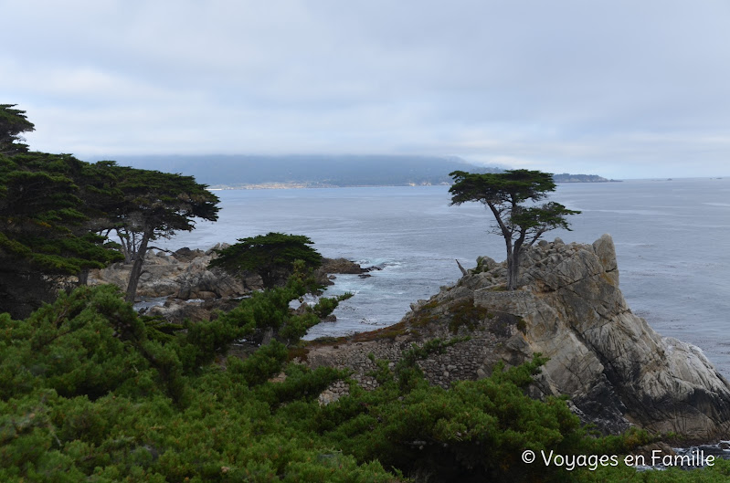 The lone cypress - 17-mile drive