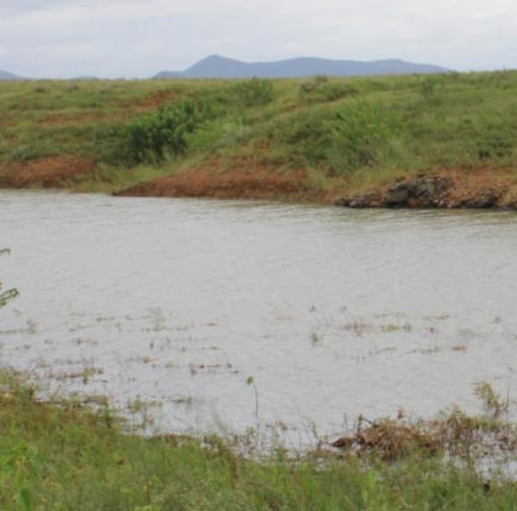 Tiyiselani Nokuthula Rikhotso's body was found dumped in the Klein Letaba Dam by community members.