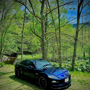 RX-8 SE3P