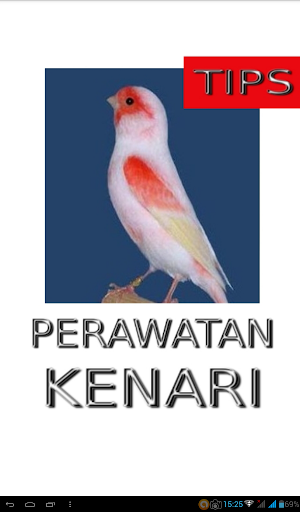 Tips Perawatan Burung Kenari