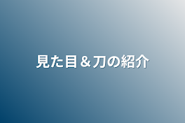 見た目＆刀の紹介