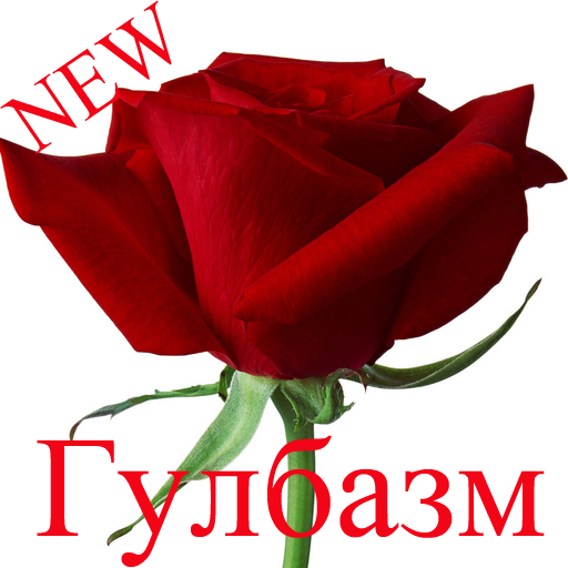 Гулбазм. Гулбазми 2022. Гулбазми нав 2022. Шери Гулбазм. Гулбазми точики ошики