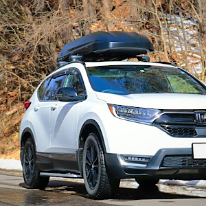 CR-V RW2