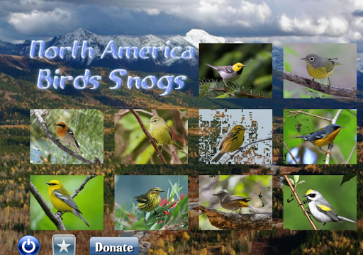 North America Birds Songs