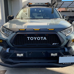 RAV4 MXAA54