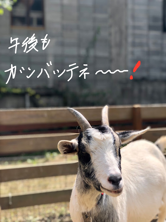 スペーシアカスタムのランチ・松のや・緊急事態宣言解除されましたが、油断は禁物…。に関するカスタム事例の投稿画像5枚目