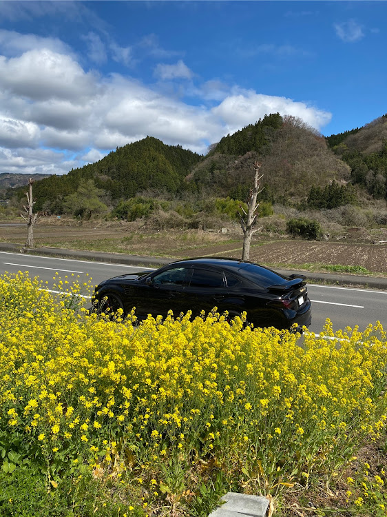 フーガの菜の花に関するカスタム事例の投稿画像2枚目
