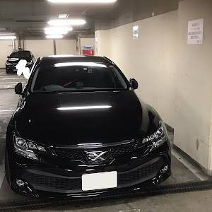マークX GRX130系
