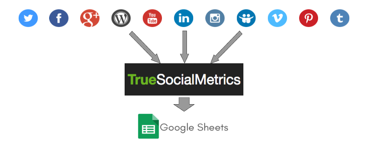 TrueSocialMetrics Sync Preview image 2