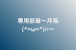 専用部屋〜月猫(^>ω<^)ฅ〜