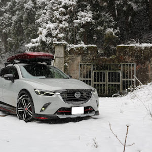 CX-3 DK5FW