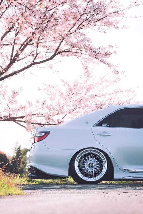 カムリの50カムリ・BBS SUPER RS・純正テールはいいぞ・桜コラボ🌸・久しぶりに投稿に関するカスタム事例の投稿画像2枚目