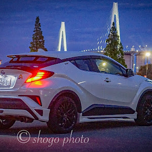 C-HR NGX50