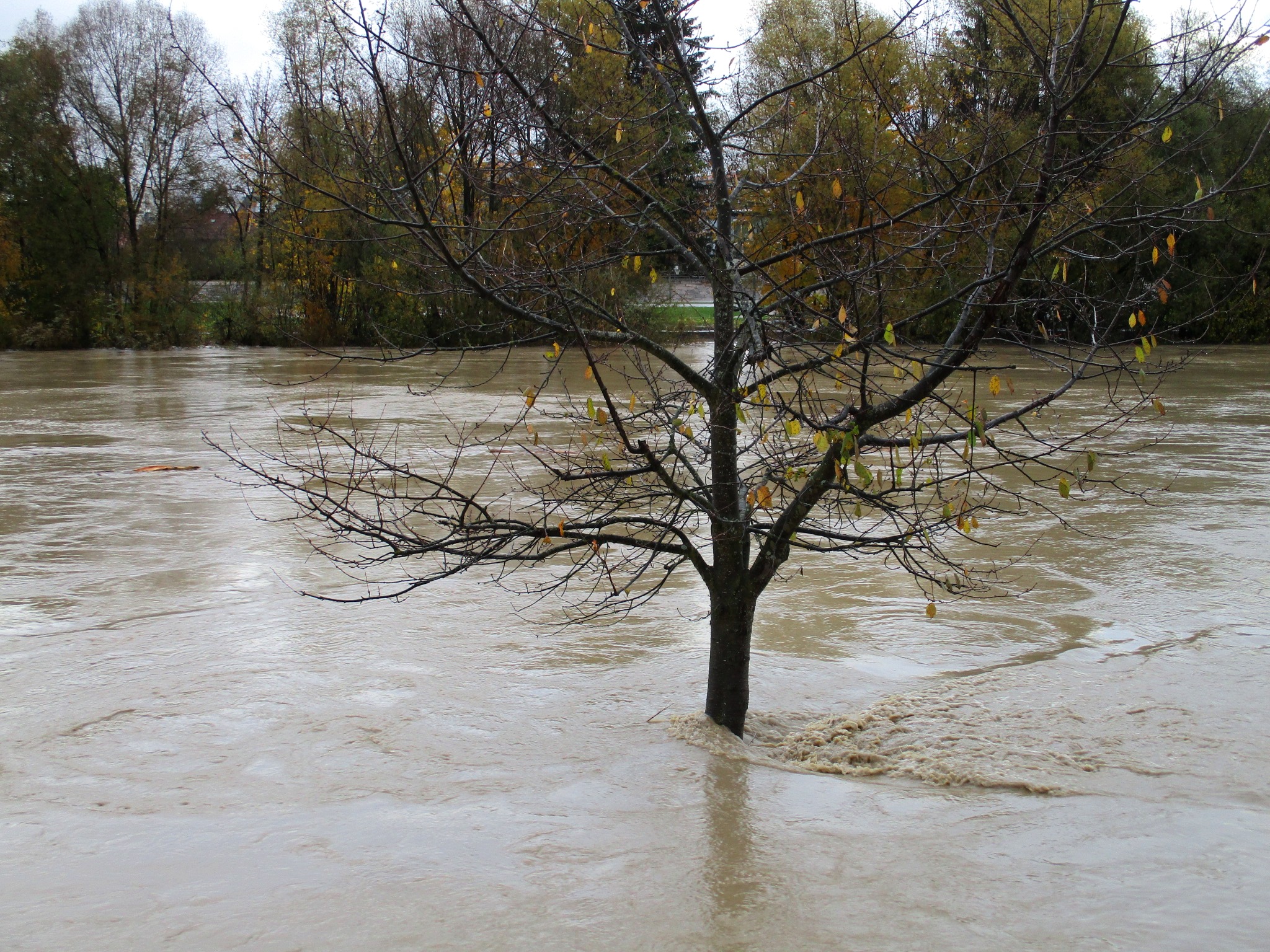 Esondazione del fiume di LunaStorta