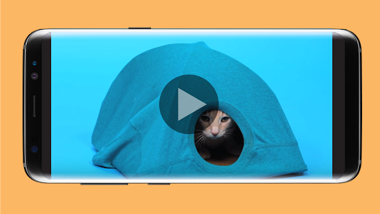 how to make cat toy - náhled