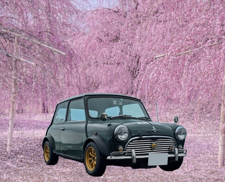 ミニクーパー1.3のハッピーバレンタイン💖・カオチューン‥😎👍に関するカスタム事例の投稿画像3枚目