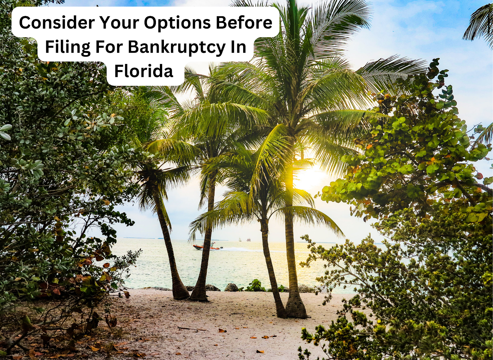Consider Your Options Before Filing For Bankruptcy In Florida