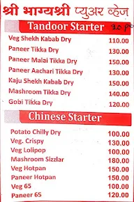 Hotel Bhagyashree Pure Veg menu 2