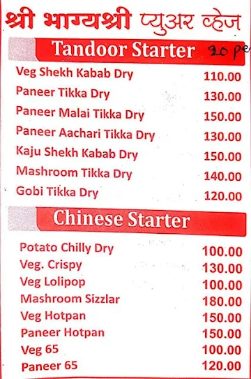 Hotel Bhagyashree Pure Veg menu 