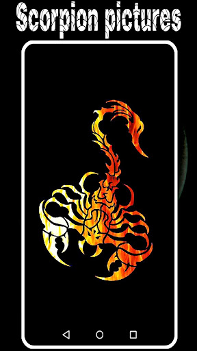 scorpion pictures wallpaper hd