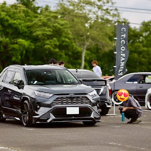RAV4 AXAH54