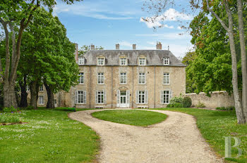 château à Fay-aux-Loges (45)