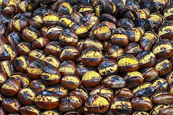 sapori d'autunno di lugiube