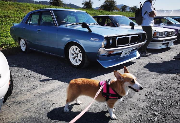 スターレットの亀岡昭和フェスティバル・亀岡昭和音楽フェスティバル・犬tuneに関するカスタム事例の投稿画像11枚目