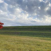 L'acero rosso di 