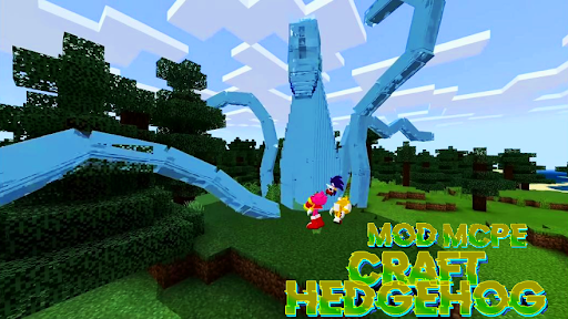 Screenshot Mod mcpe Craft Hedgehog Sonic