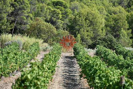 Vineyard with rusty sculpture and forest - Luxury vineyard for sale in Minerve, 22 rooms