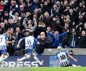 Supporter van Brighton & Hove Albion krijgt zware straf na racistische uitlatingen