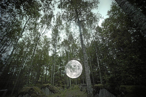 'Astronomia Nova' is an immersive hologram installation in a Swedish forest.