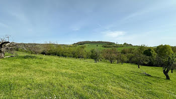 terrain à Essey-lès-Nancy (54)