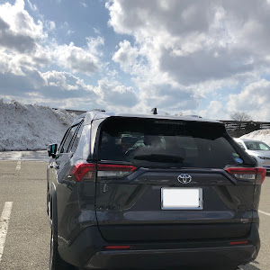 RAV4 MXAA54